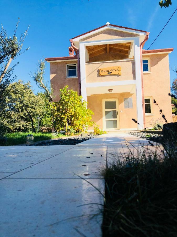 Wellness House Oliva With Heated Salt Water Pool, Sauna & Jakuzzi Labin  Bagian luar foto